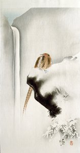 A pheasant on a cliff-edge, with a waterfall in the background, 1907 by Ohara Koson